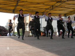 Milano 2008